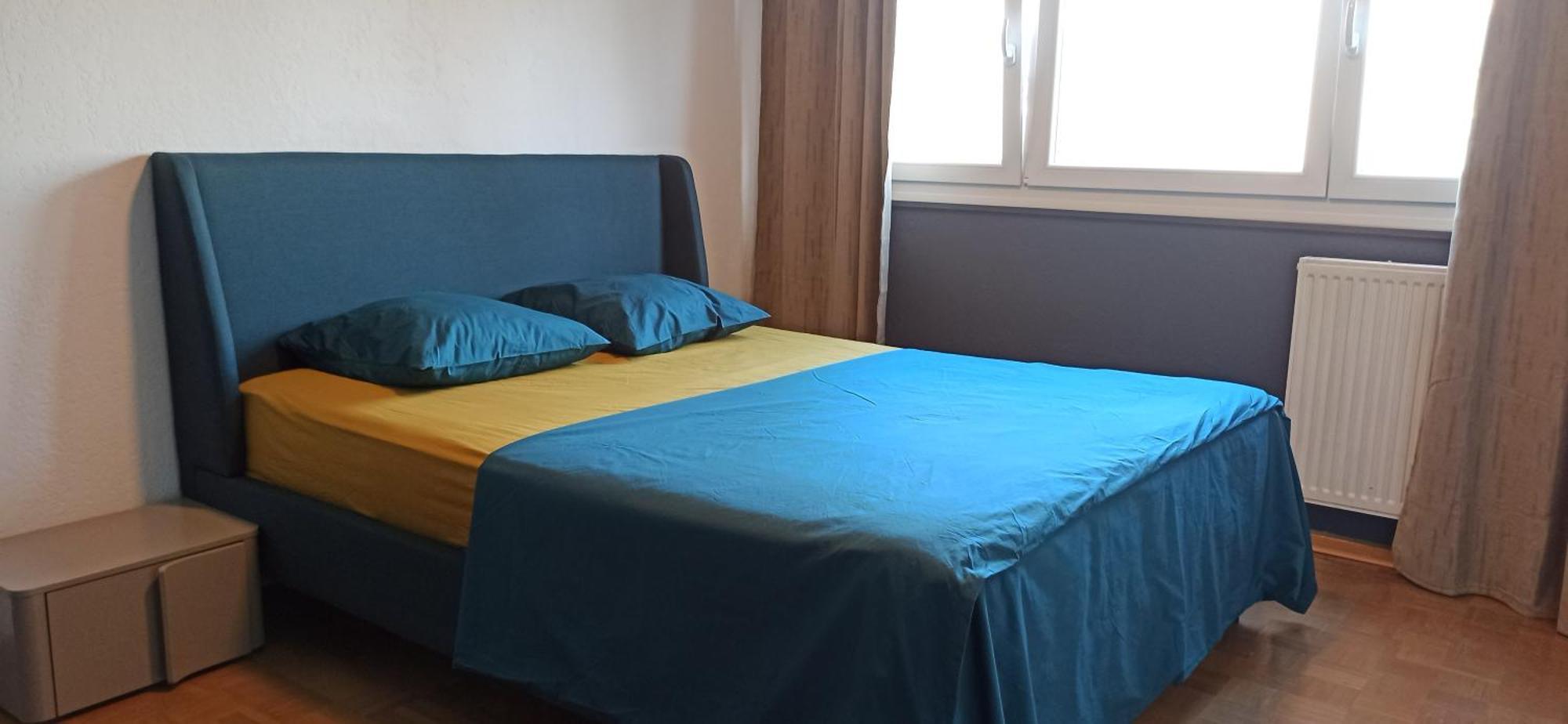 Apartement 2 Rooms Saint Louis - Euroairport - Basel - Train Station Eksteriør bilde